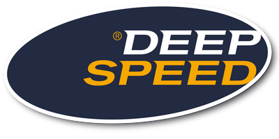 DeepSpeed